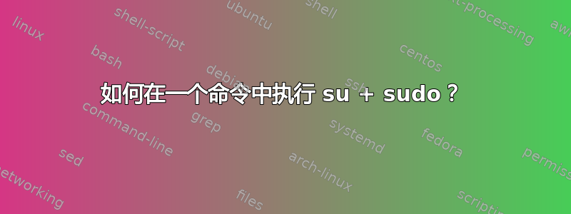 如何在一个命令中执行 su + sudo？