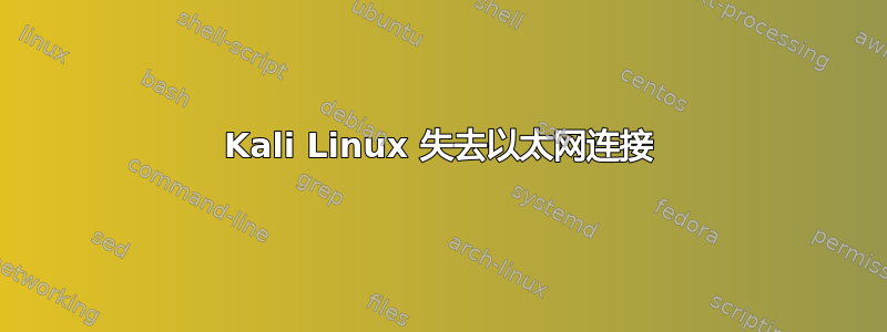 Kali Linux 失去以太网连接