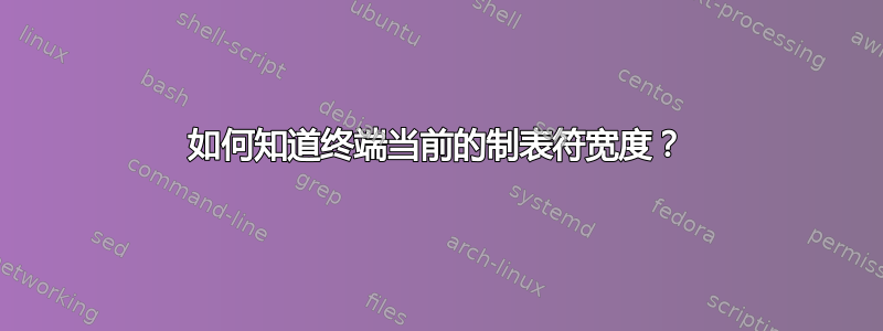 如何知道终端当前的制表符宽度？