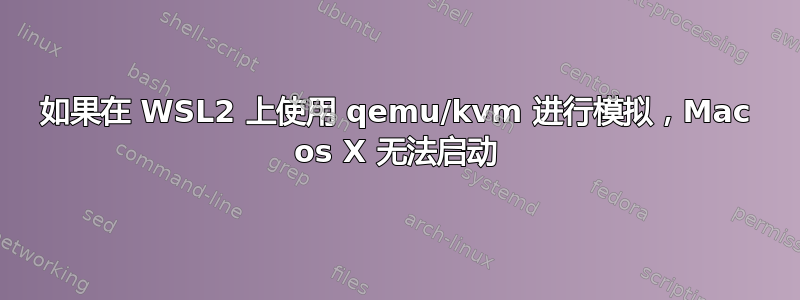 如果在 WSL2 上使用 qemu/kvm 进行模拟，Mac os X 无法启动