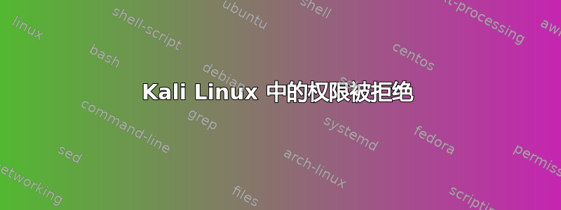 Kali Linux 中的权限被拒绝