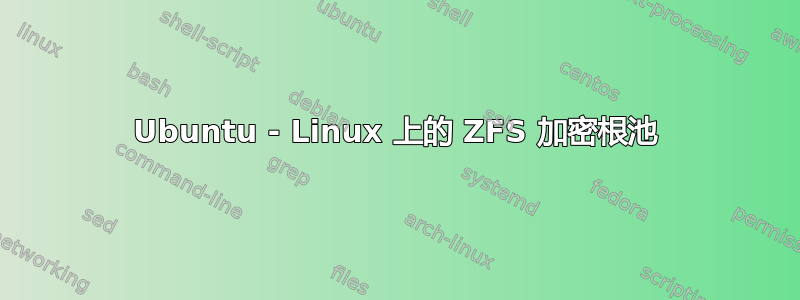 Ubuntu - Linux 上的 ZFS 加密根池