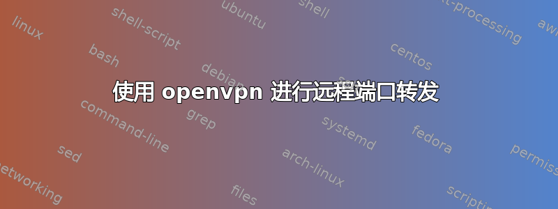 使用 openvpn 进行远程端口转发