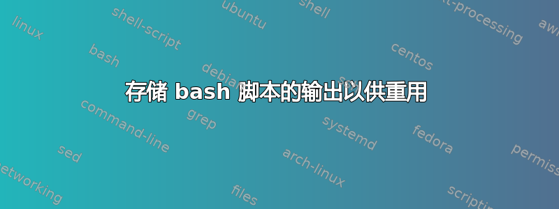 存储 bash 脚本的输出以供重用