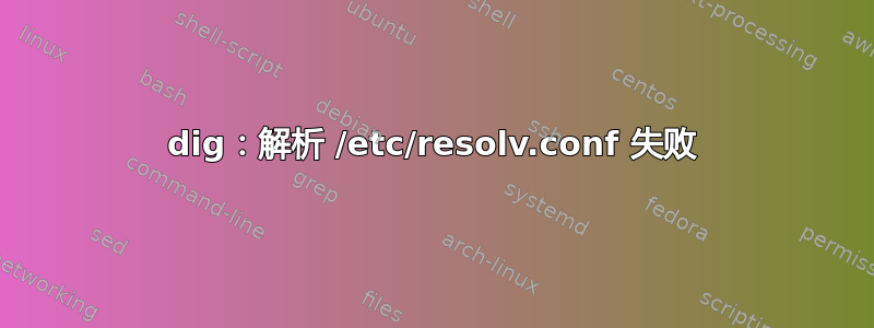 dig：解析 /etc/resolv.conf 失败