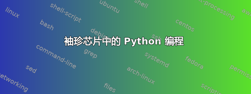 袖珍芯片中的 Python 编程