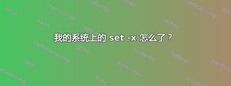 我的系统上的 set -x 怎么了？