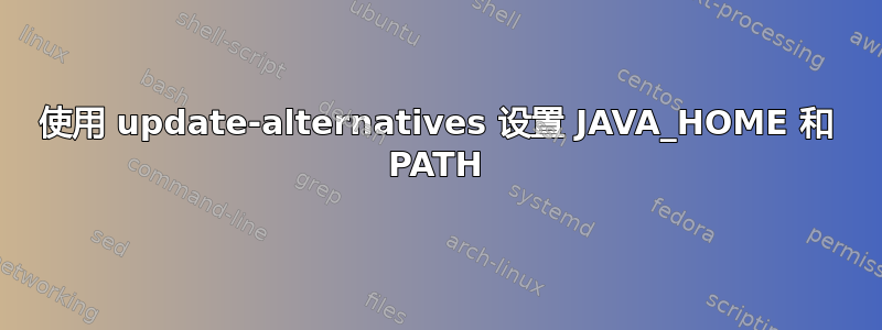 使用 update-alternatives 设置 JAVA_HOME 和 PATH