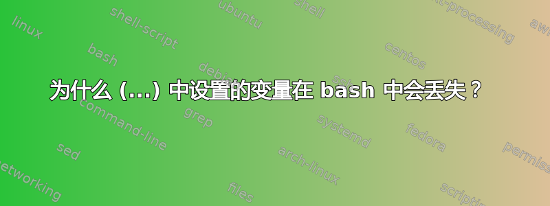 为什么 (...) 中设置的变量在 bash 中会丢失？ 