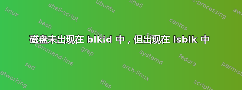 磁盘未出现在 blkid 中，但出现在 lsblk 中