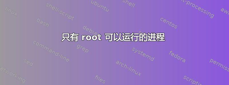 只有 root 可以运行的进程