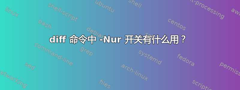 diff 命令中 -Nur 开关有什么用？