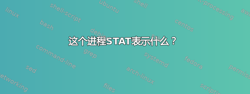 这个进程STAT表示什么？