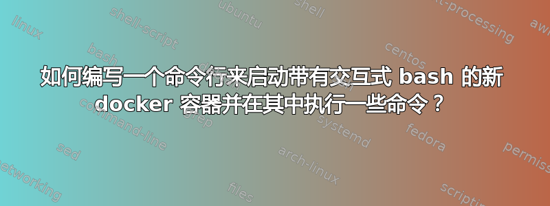 如何编写一个命令行来启动带有交互式 bash 的新 docker 容器并在其中执行一些命令？