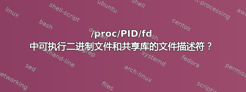 /proc/PID/fd 中可执行二进制文件和共享库的文件描述符？