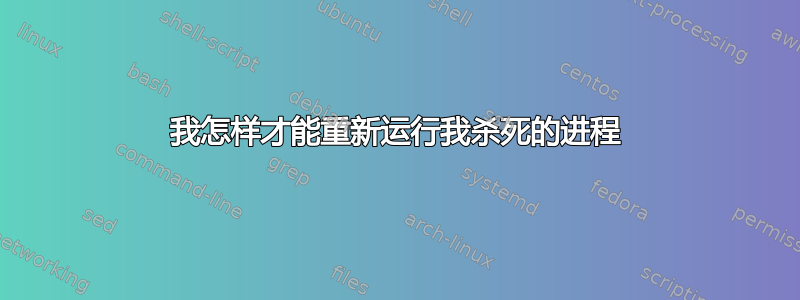 我怎样才能重新运行我杀死的进程