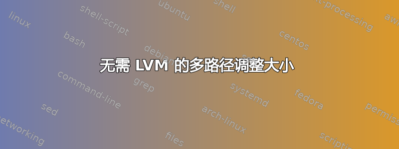 无需 LVM 的多路径调整大小