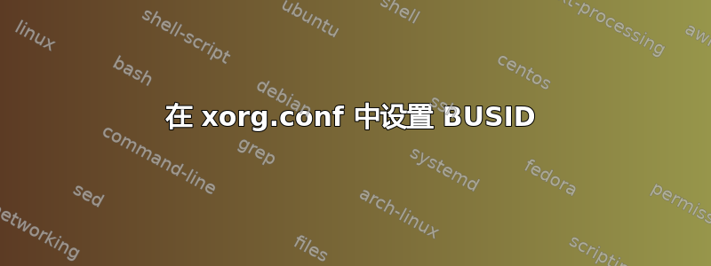 在 xorg.conf 中设置 BUSID