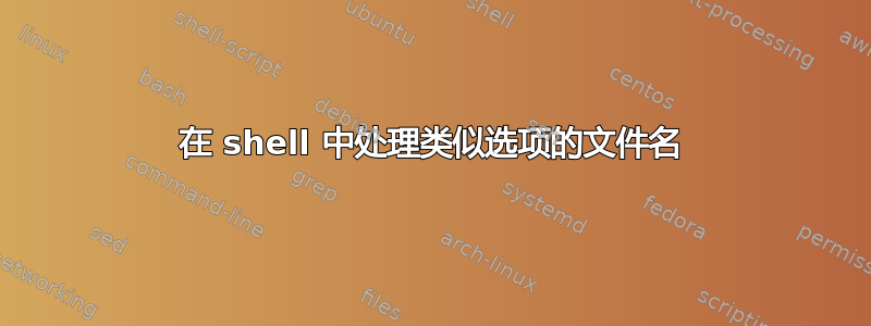 在 shell 中处理类似选项的文件名