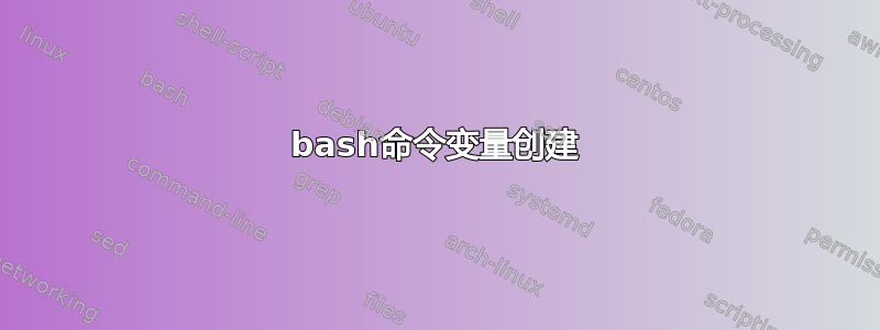 bash命令变量创建