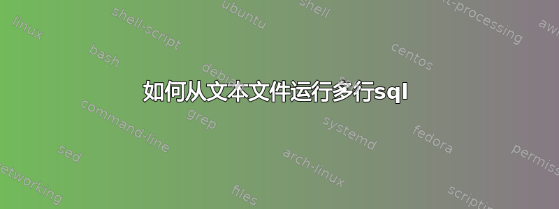 如何从文本文件运行多行sql