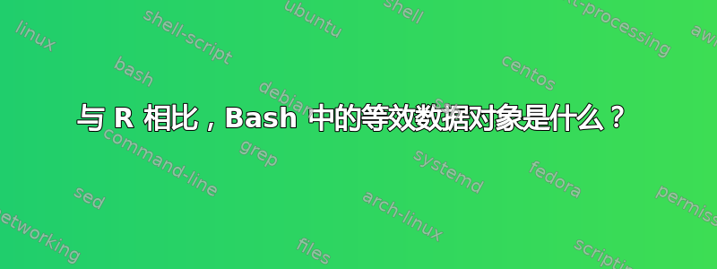 与 R 相比，Bash 中的等效数据对象是什么？