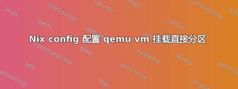 Nix config 配置 qemu vm 挂载直接分区