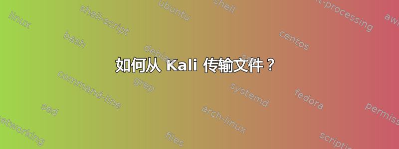 如何从 Kali 传输文件？