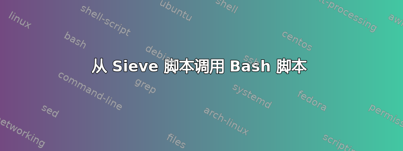 从 Sieve 脚本调用 Bash 脚本