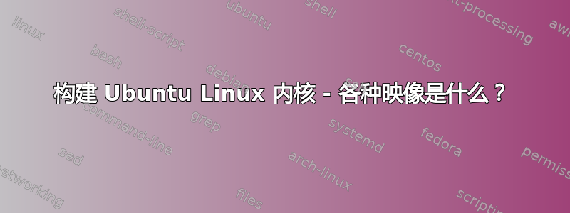 构建 Ubuntu Linux 内核 - 各种映像是什么？