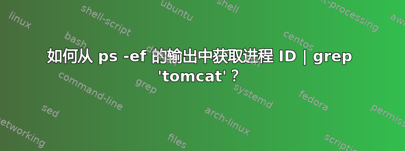 如何从 ps -ef 的输出中获取进程 ID | grep 'tomcat'？