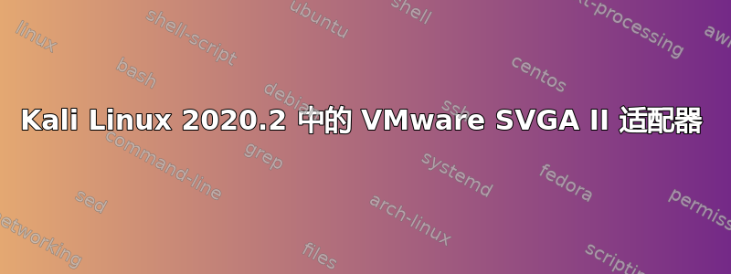 Kali Linux 2020.2 中的 VMware SVGA II 适配器