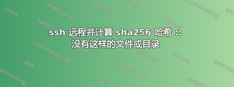 ssh 远程并计算 sha256 哈希 :: 没有这样的文件或目录