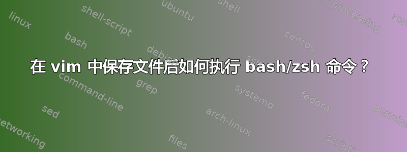 在 vim 中保存文件后如何执行 bash/zsh 命令？