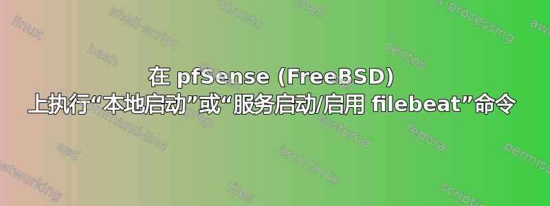 在 pfSense (FreeBSD) 上执行“本地启动”或“服务启动/启用 filebeat”命令