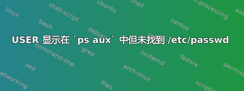 USER 显示在 `ps aux` 中但未找到 /etc/passwd