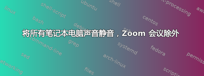 将所有笔记本电脑声音静音，Zoom 会议除外