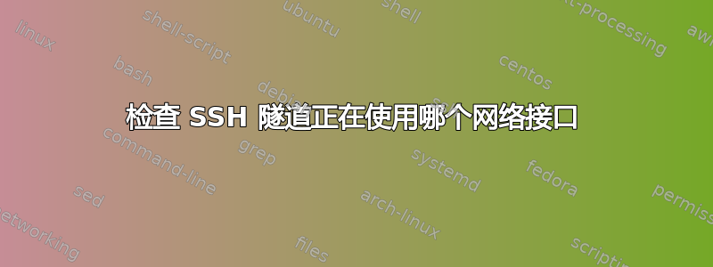 检查 SSH 隧道正在使用哪个网络接口