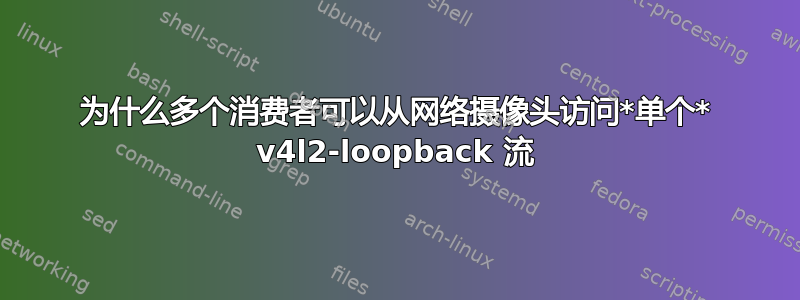 为什么多个消费者可以从网络摄像头访问*单个* v4l2-loopback 流