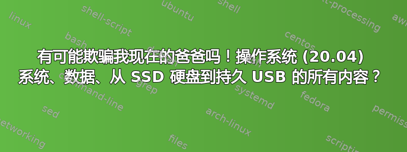 有可能欺骗我现在的爸爸吗！操作系统 (20.04) 系统、数据、从 SSD 硬盘到持久 USB 的所有内容？