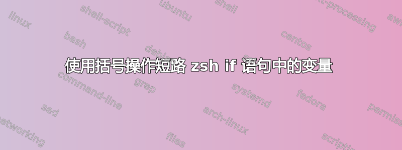 使用括号操作短路 zsh if 语句中的变量