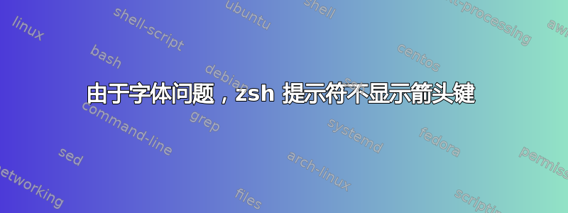 由于字体问题，zsh 提示符不显示箭头键