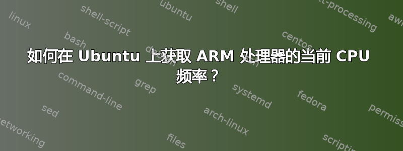 如何在 Ubuntu 上获取 ARM 处理器的当前 CPU 频率？