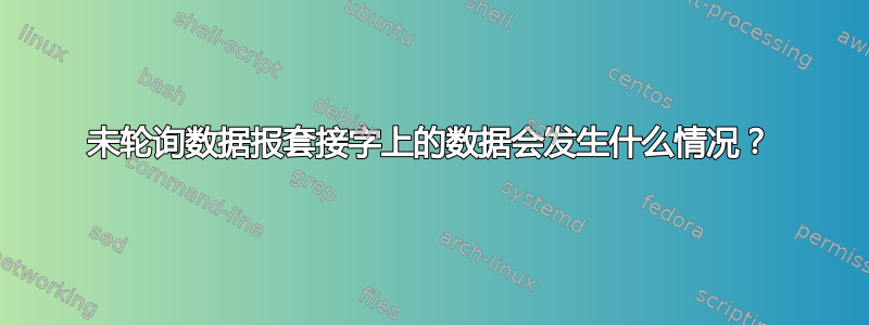 未轮询数据报套接字上的数据会发生什么情况？