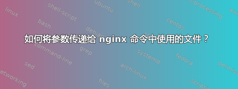 如何将参数传递给 nginx 命令中使用的文件？