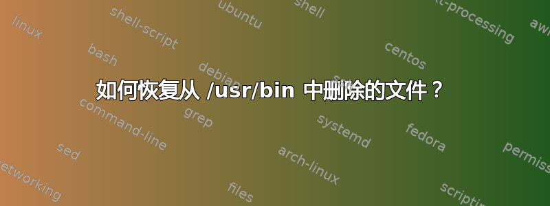 如何恢复从 /usr/bin 中删除的文件？