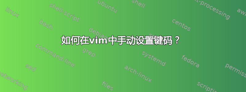 如何在vim中手动设置键码？