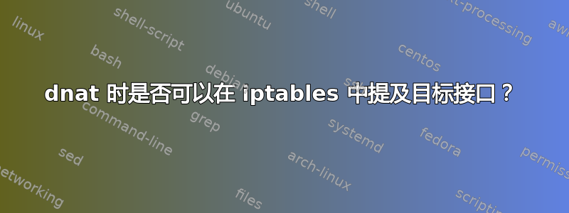 dnat 时是否可以在 iptables 中提及目标接口？