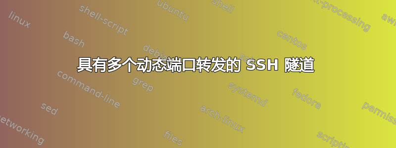 具有多个动态端口转发的 SSH 隧道