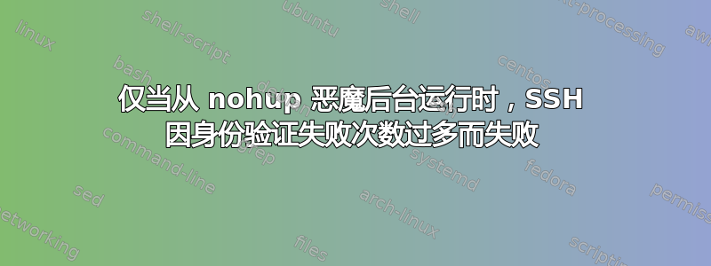 仅当从 nohup 恶魔后台运行时，SSH 因身份验证失败次数过多而失败